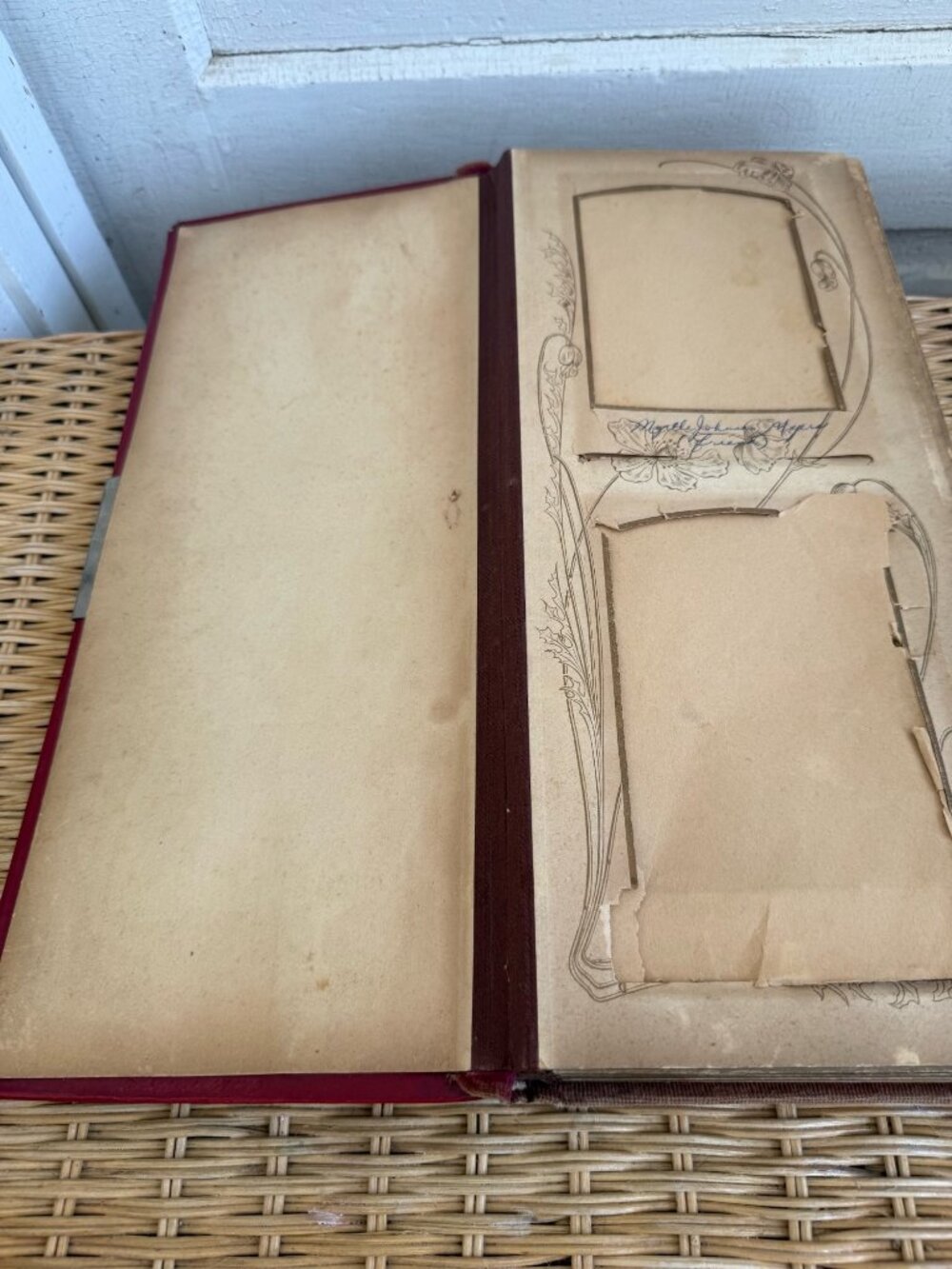Antique 1880s Red Celluloid Velvet Photo cabinet Album - Picture 7 of 12